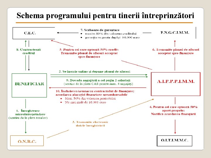 Schema programului pentru tinerii întreprinzători 29 