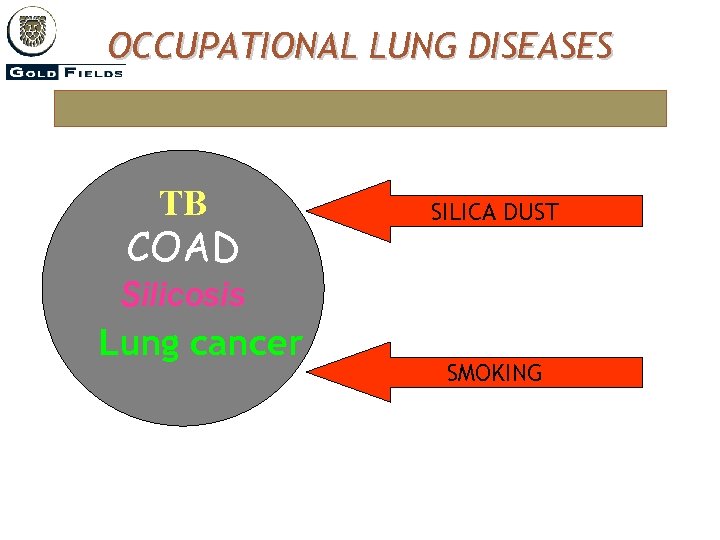 OCCUPATIONAL LUNG DISEASES TB COAD Silicosis Lung cancer SILICA DUST SMOKING 