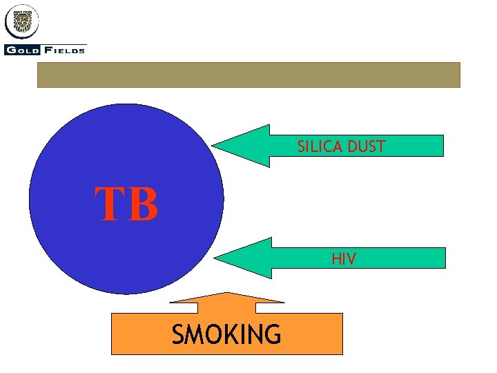 SILICA DUST TB HIV SMOKING 
