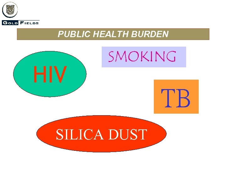 PUBLIC HEALTH BURDEN HIV SMOKING SILICA DUST TB 