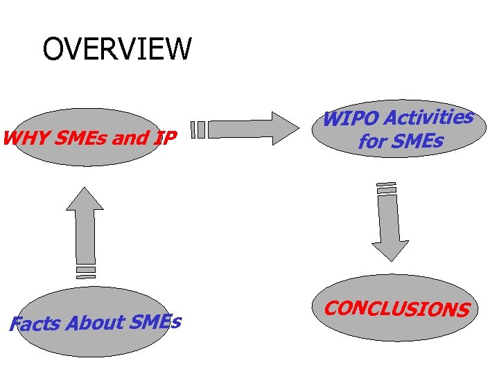 OVERVIEW WHY SMEs and IP Facts About SMEs WIPO Activities for SMEs CONCLUSIONS 