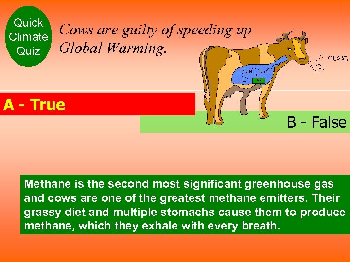 Quick Climate Quiz Cows are guilty of speeding up Global Warming. A - True