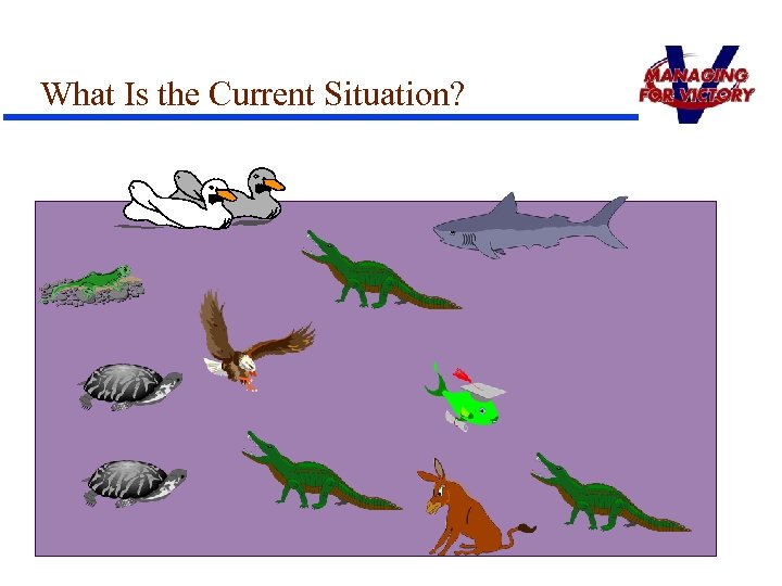 What Is the Current Situation? 