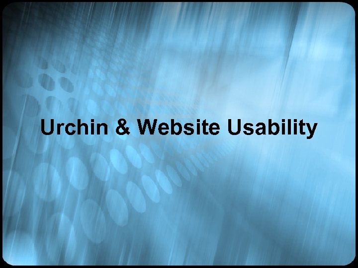 Urchin & Website Usability 