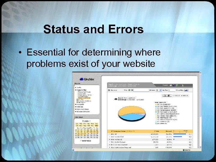 Status and Errors • Essential for determining where problems exist of your website 