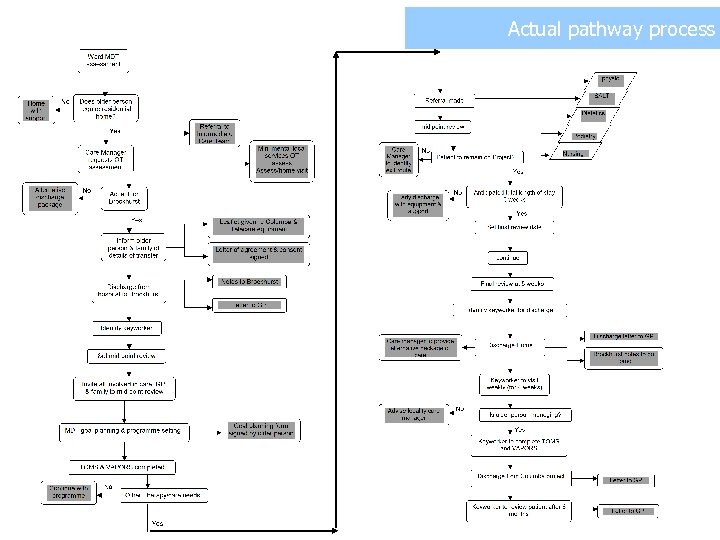 Actual pathway process 