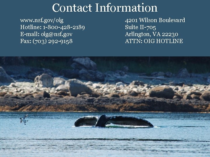 Contact Information www. nsf. gov/oig Hotline: 1 -800 -428 -2189 E-mail: oig@nsf. gov Fax: