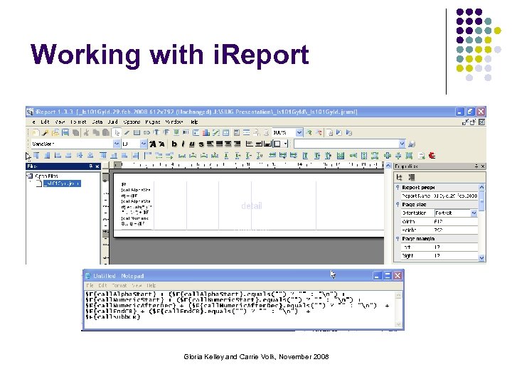 Working with i. Report Gloria Kelley and Carrie Volk, November 2008 