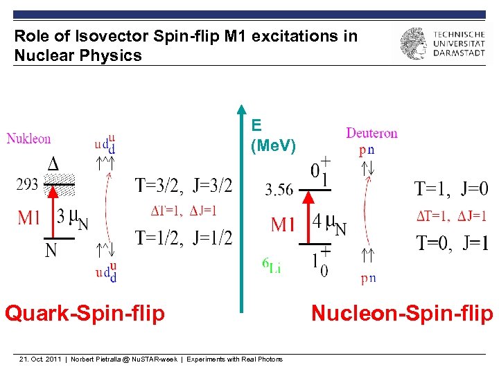 Role of Isovector Spin-flip M 1 excitations in Nuclear Physics E (Me. V) Quark-Spin-flip