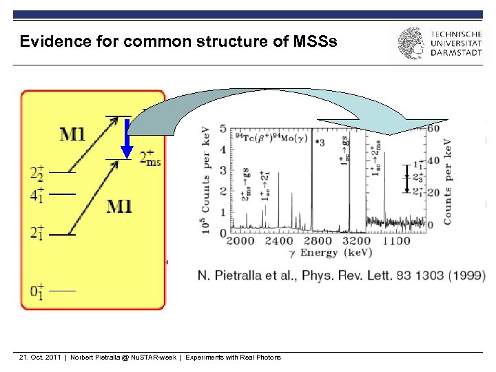 Evidence for common structure of MSSs 21. Oct. 2011 | Norbert Pietralla @ Nu.