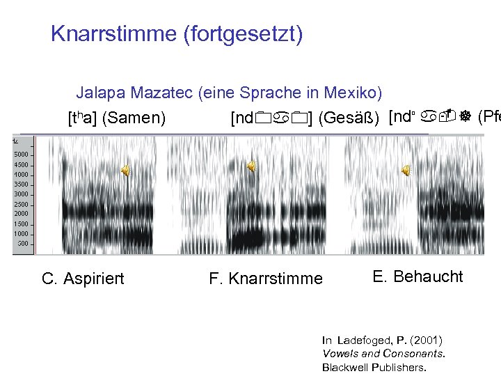 Knarrstimme (fortgesetzt) Jalapa Mazatec (eine Sprache in Mexiko) [nd 0 a 0] (Gesäß) [ndú
