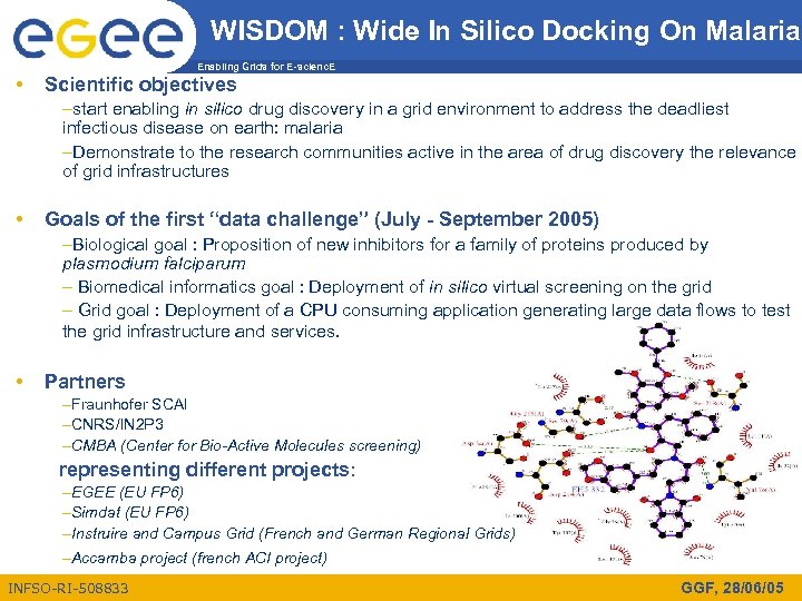 WISDOM : Wide In Silico Docking On Malaria • Enabling Grids for E-scienc. E