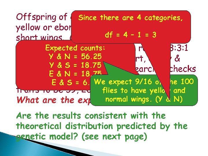 Offspring of certain there are 4 categories, Since fruit flies may have yellow or