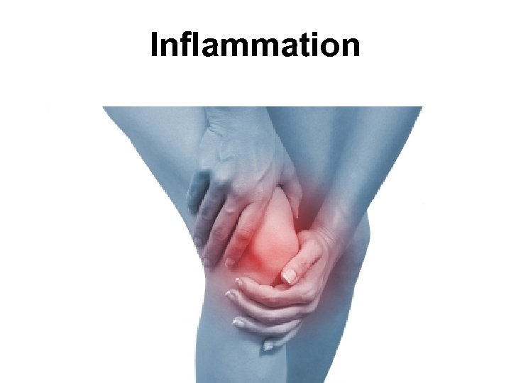 Inflammation 