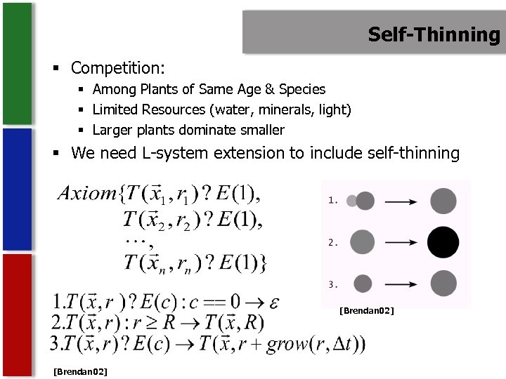 Self-Thinning § Competition: § Among Plants of Same Age & Species § Limited Resources