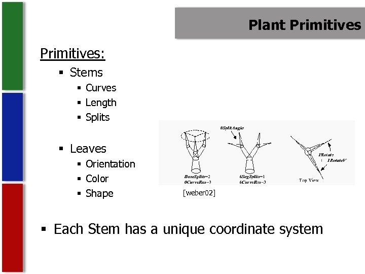 Plant Primitives: § Stems § Curves § Length § Splits § Leaves § Orientation