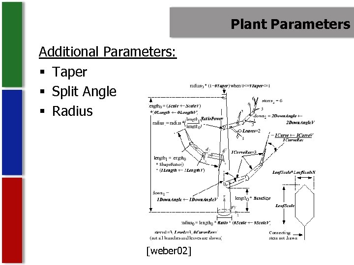 Plant Parameters Additional Parameters: § Taper § Split Angle § Radius [weber 02] 