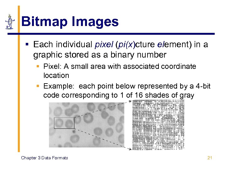 Bitmap Images § Each individual pixel (pi(x)cture element) in a graphic stored as a