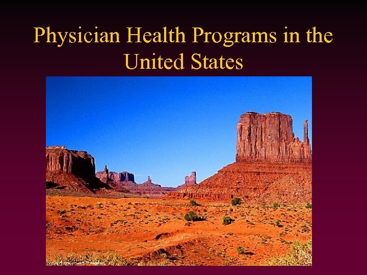 Physician Health Programs in the United States 
