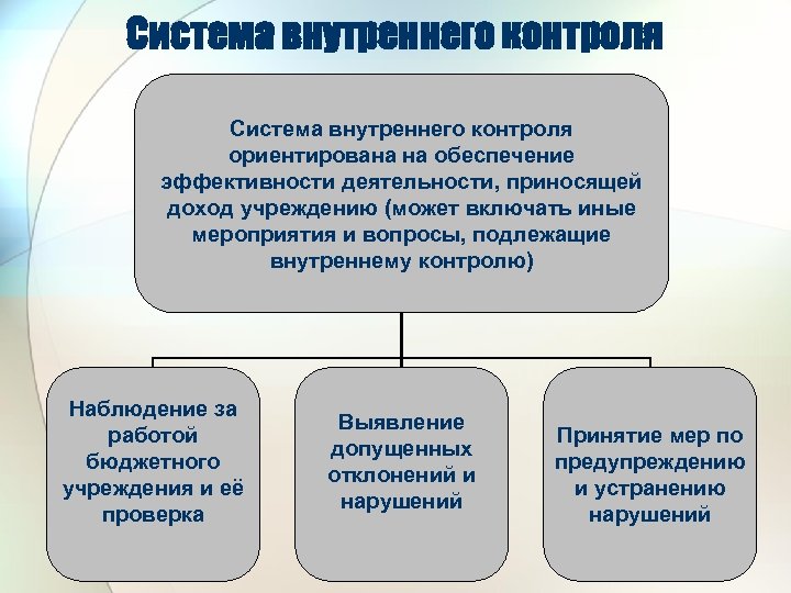 Система внутреннего контроля ориентирована на обеспечение эффективности деятельности, приносящей доход учреждению (может включать иные