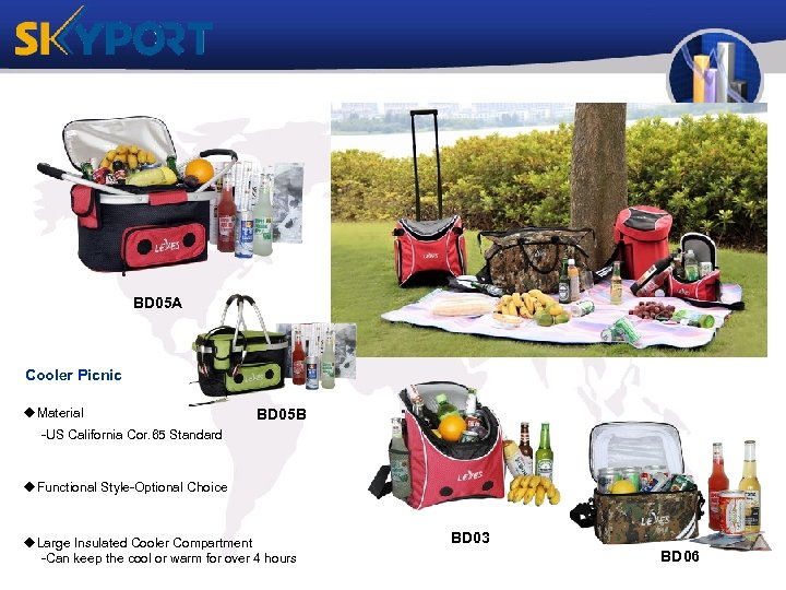 BD 05 A Cooler Picnic u. Material BD 05 B -US California Cor. 65