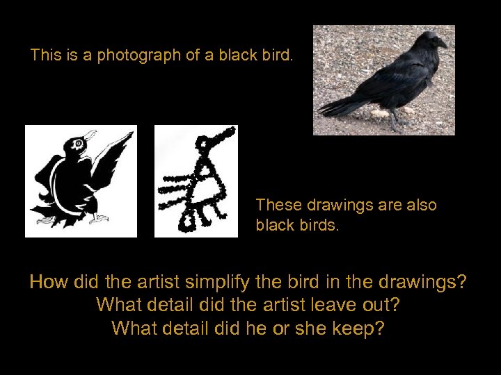 This is a photograph of a black bird. These drawings are also black birds.