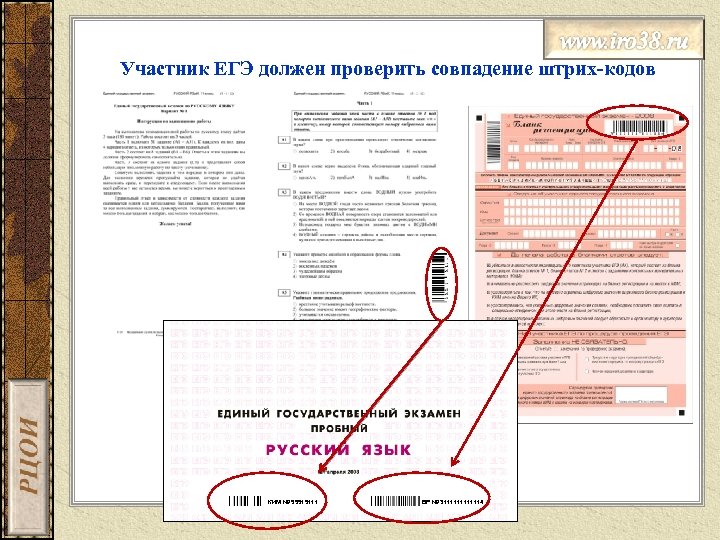 Участник ЕГЭ должен проверить совпадение штрих-кодов КИМ № 55515111 БР № 31111114 