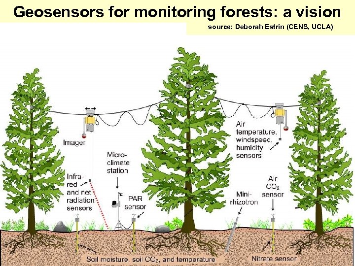 Geosensors for monitoring forests: a vision source: Deborah Estrin (CENS, UCLA) 