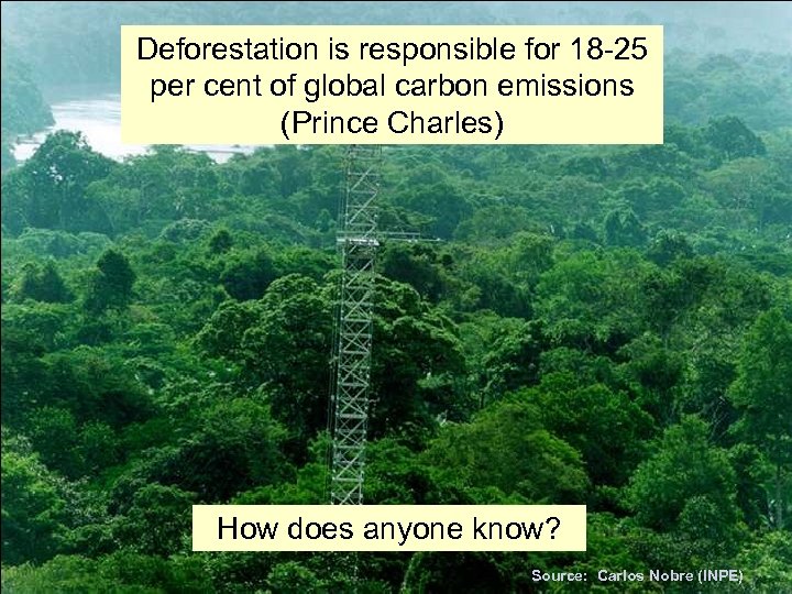 Deforestation is responsible for 18 -25 per cent of global carbon emissions (Prince Charles)