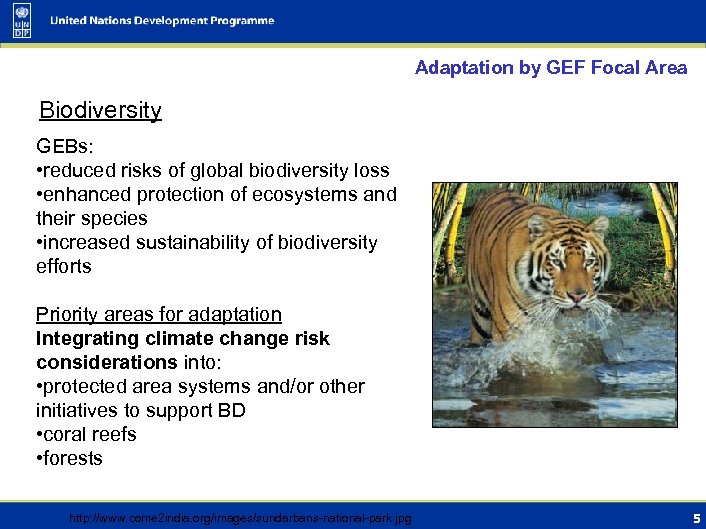 Adaptation by GEF Focal Area Biodiversity GEBs: • reduced risks of global biodiversity loss