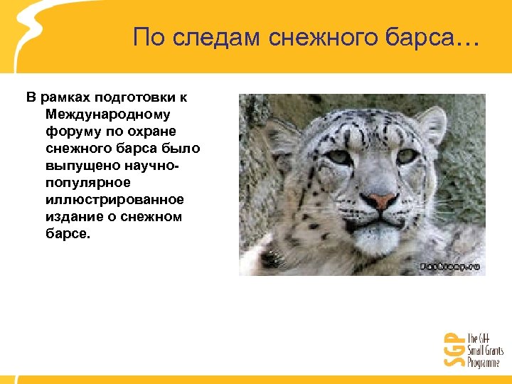 По следам снежного барса… В рамках подготовки к Международному форуму по охране снежного барса