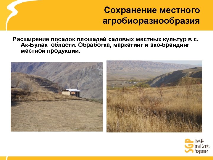 Сохранение местного агробиоразнообразия Расширение посадок площадей садовых местных культур в с. Ак-Булак области. Обработка,