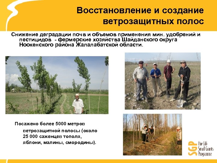 Восстановление и создание ветрозащитных полос Снижение деградации почв и объемов применения мин. удобрений и