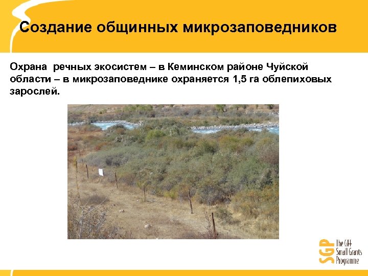Создание общинных микрозаповедников Охрана речных экосистем – в Кеминском районе Чуйской области – в