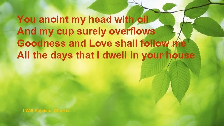 You anoint my head with oil And my cup surely overflows Goodness and Love