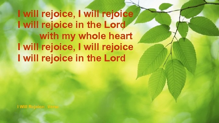 I will rejoice, I will rejoice in the Lord with my whole heart I