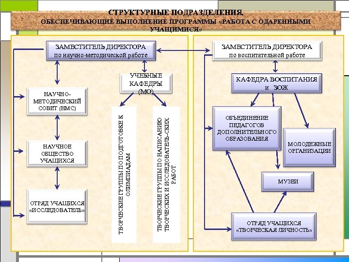 СТРУКТУРНЫЕ ПОДРАЗДЕЛЕНИЯ, ОБЕСПЕЧИВАЮЩИЕ ВЫПОЛНЕНИЕ ПРОГРАММЫ «РАБОТА С ОДАРЕННЫМИ УЧАЩИМИСЯ» ЗАМЕСТИТЕЛЬ ДИРЕКТОРА по научно-методической работе
