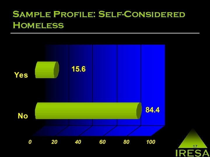 Sample Profile: Self-Considered Homeless 17 