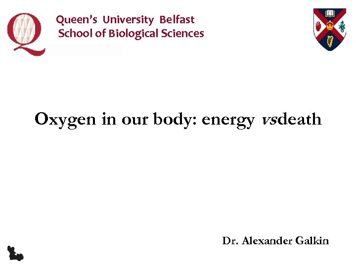 Queen’s University Belfast School of Biological Sciences Oxygen in our body: energy vs death