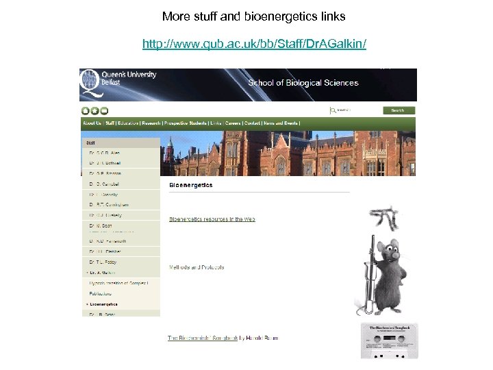 More stuff and bioenergetics links http: //www. qub. ac. uk/bb/Staff/Dr. AGalkin/ 