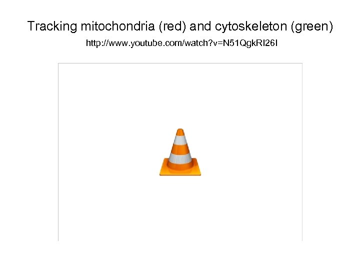 Tracking mitochondria (red) and cytoskeleton (green) http: //www. youtube. com/watch? v=N 51 Qgk. RI