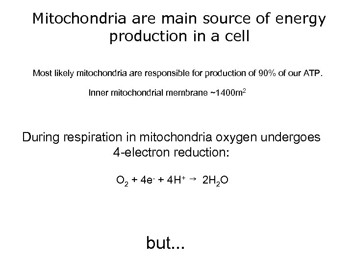 Mitochondria are main source of energy production in a cell Most likely mitochondria are