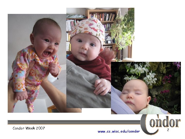 Condor Week 2007 www. cs. wisc. edu/condor 2 