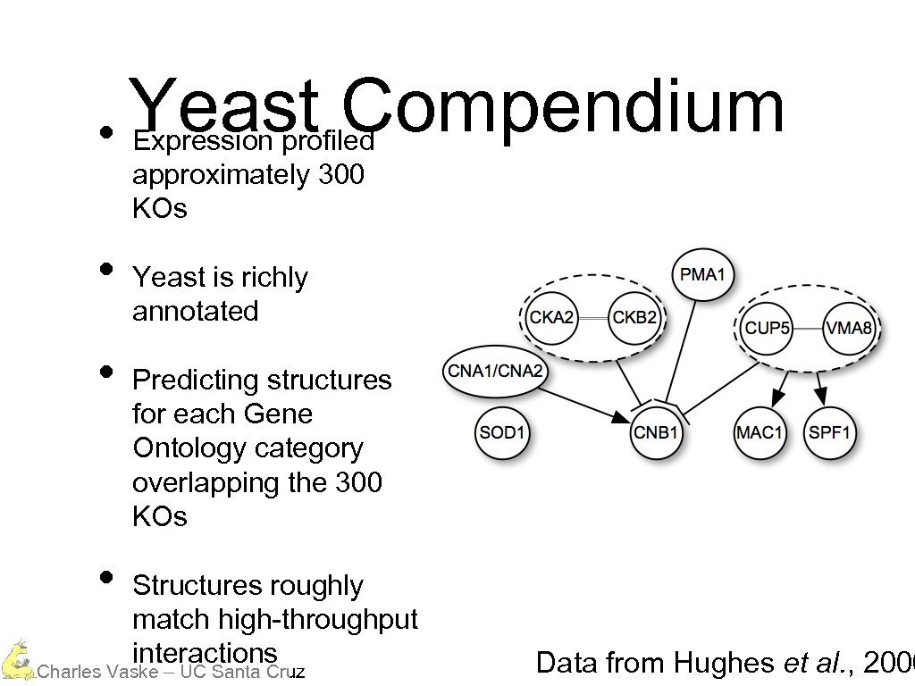 Yeast Compendium • Expression profiled approximately 300 KOs • • • Yeast is richly