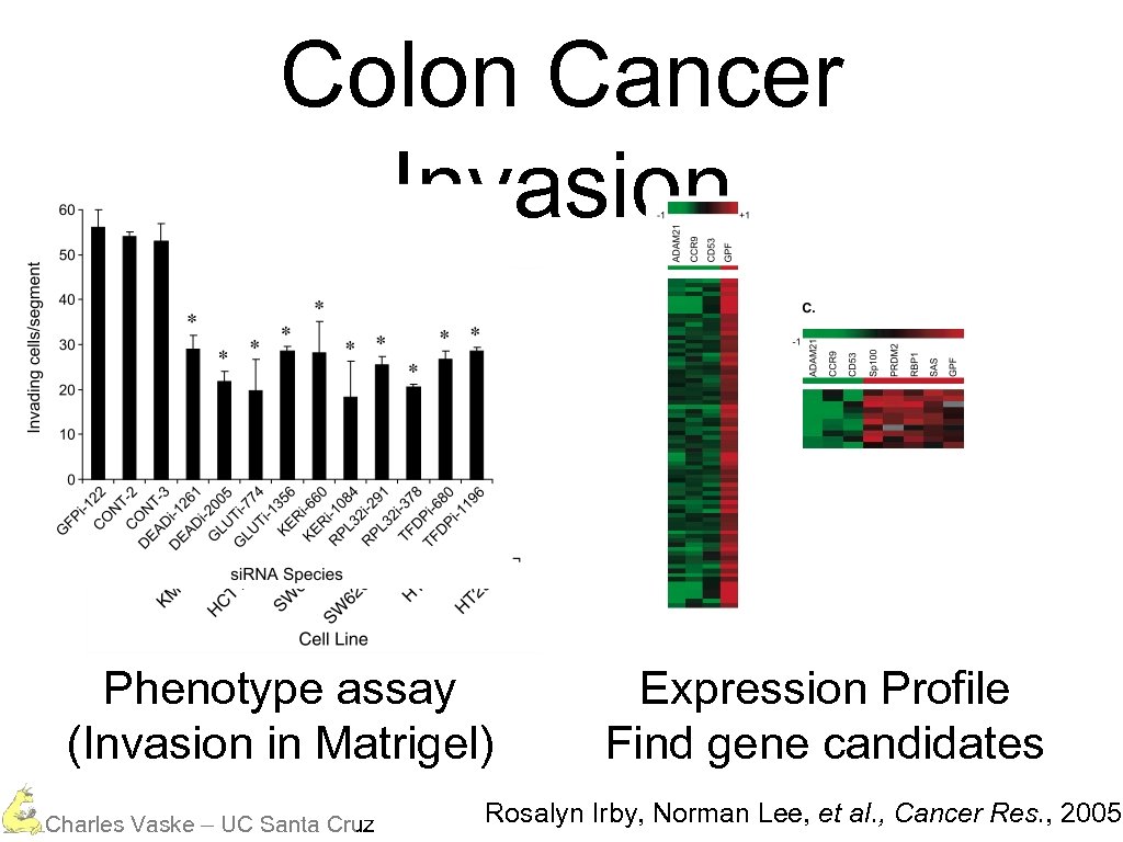 Colon Cancer Invasion Phenotype assay (Invasion in Matrigel) Charles Vaske – UC Santa Cruz