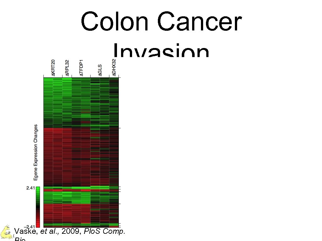 Colon Cancer Invasion Vaske, et al. , 2009, Plo. S Comp. Charles Vaske –