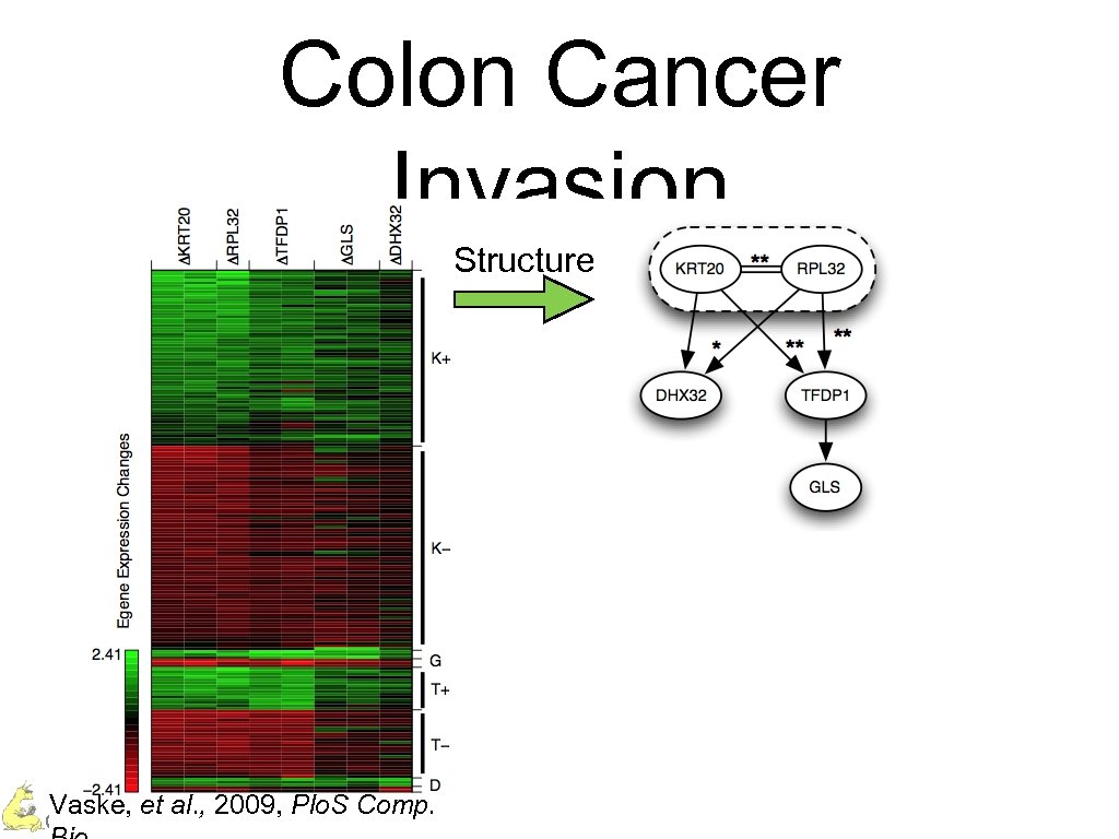 Colon Cancer Invasion Structure Vaske, et al. , 2009, Plo. S Comp. Charles Vaske