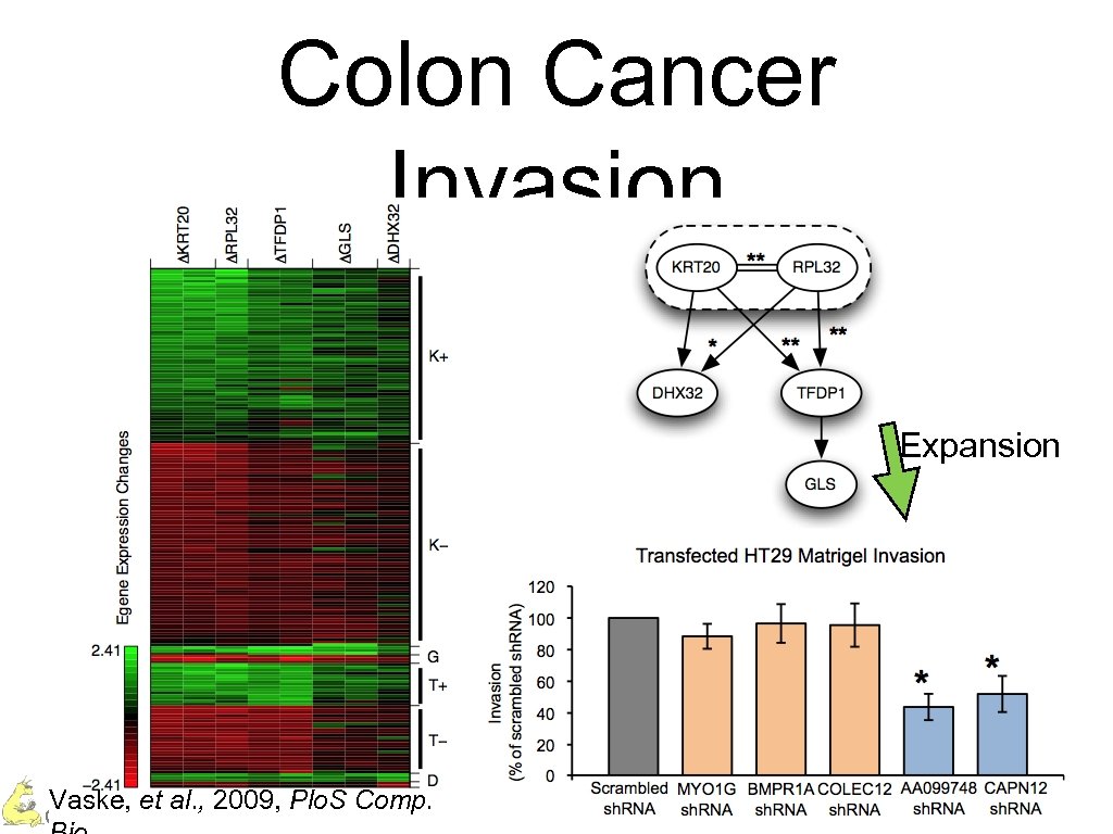 Colon Cancer Invasion Expansion Vaske, et al. , 2009, Plo. S Comp. Charles Vaske