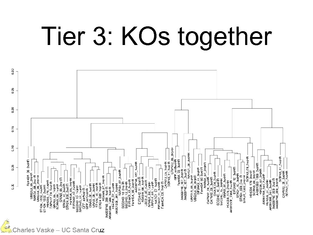 Tier 3: KOs together Charles Vaske – UC Santa Cruz 