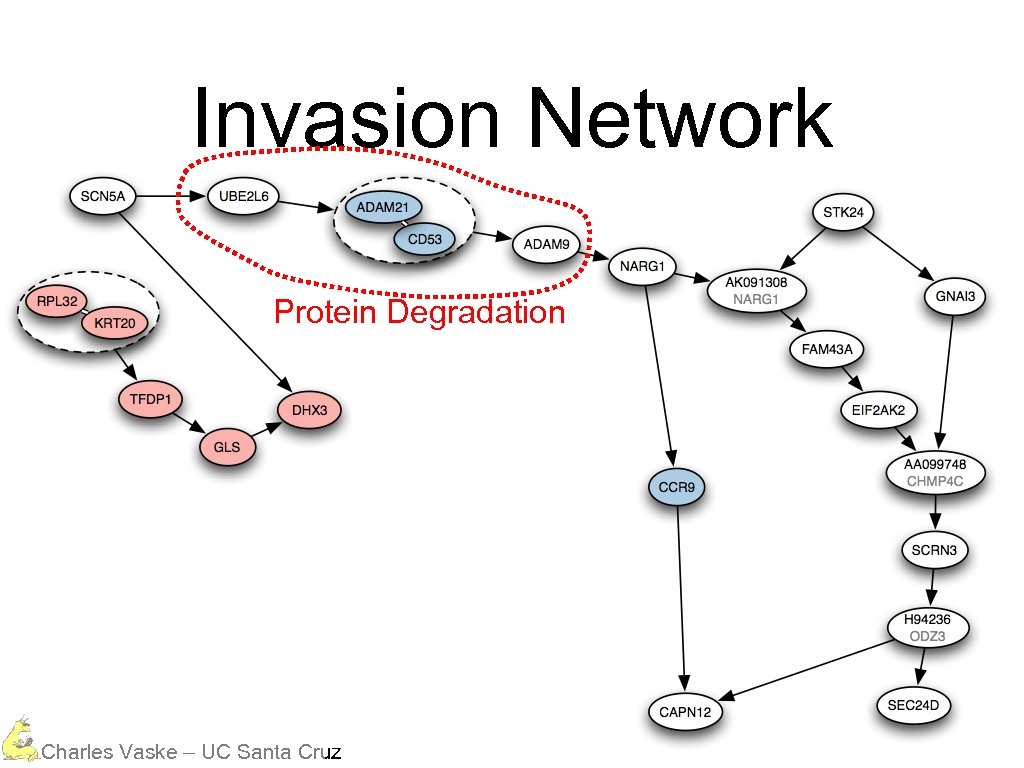 Invasion Network Protein Degradation Charles Vaske – UC Santa Cruz 